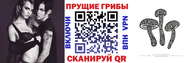 Галлюциногенные грибы GOLDEN TEACHER  блэк спрут ТОР  Минеральные Воды 