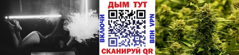 Бошки Шишки THC 21%  купить наркоту  darknet наркотические препараты  Минеральные Воды 